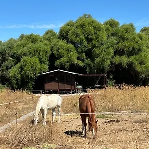 Rustica En Un Rancho Con Caballos, Prado Del Rey, Andalucia Prado Del Rey